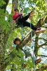 Graines d'arbres : Grimpe d'arbre et autres activités encadrées