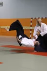 Aikido