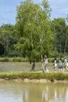 etang-bruyeres-fuilet-mse-osez-mauges-©SébastienGaudard (43)