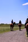 balade-cheval-vignes-en-selle-sm-st-crespin-moine-osezmauges-anjou