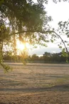 gîte-des-bords-de-loire-Le-Mesnil-en-Vallée-La-Loire-à-Vélo-2