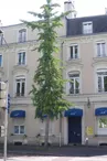 Hôtel Le Royalty