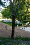 Vue du camping