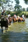 centre-equestre-La-Gosniere-49-LOI