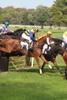 obstacle-hippodrome-la-lorie-49-LOI