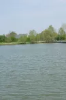 Etang des Tardivières à Tiercé