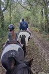 Equitation Promenade Oreil équitation