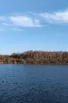 Etang et boisements de Joreau