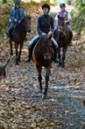 Centre Equestre Le Grand Verger