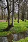 Aire de pique-nique - Antezant-la Chapelle