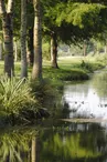 Aire de camping-car du Lac de Frace