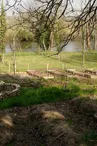 Jardin de Curé de Saint Aigulin