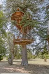 Sur un Arbre Perché - La Cabane des Énigmes