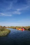 Marais d'Arceau et de la Perrotine