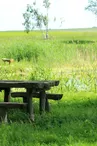 Aire de l'Etang de la Grève