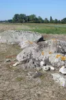 Dolmen pierre à Cerclet