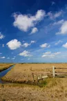 Marais de la Seudre