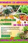 affiche autour de l'arbre 2023 MDF