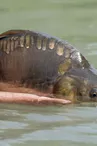 Echappée pêche à l'étang de La Rosière