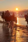 Les Cavaliers du Fort Boyard - Balades à cheval