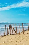 Plage de l'écuissière