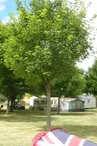 Camping La Valade