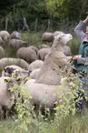 Ferme de la Gravelle