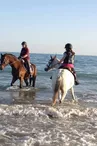 Balade à cheval sur la plage (confirmés) avec Equipassion