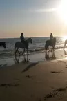 Promenade à cheval sur le bord de la plage par le haras des Evières