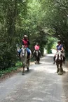 Balade à cheval en Forêt (débutants) avec Equipassion