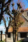 Eglise Saint Saturnin