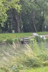 Parcours pêche de la carpe de nuit - Canal de dérivation de la Sèvre Niortaise