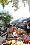 Marché de Villeneuve les Salines