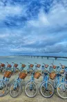 Beach Bikes Belvédère