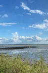 Boyard croisière : Découverte de l'Estuaire à la voile