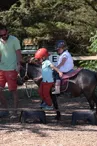 Bébé cavalier découverte du monde des poneys de 2 à 5 ans par le poney club Les Petites Folies