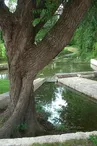 Fontaine - Lavoir