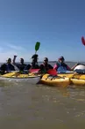 Randonnée en kayak vers l'ile de Ré au coeur du parc Marin  -Antioche Kayak