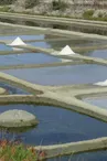 Visite guidée de l'Ecomusée et découverte du marais salant