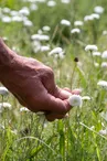 Sortie nature pour les écoles