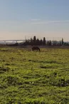 Marais du pont Transbordeur