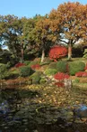 Erik Borja's zen garden