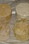 Fromagerie Les Chevriers de Fereyrolles