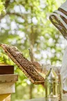 Apiculture - Les Ruchers du Moulin - Gérard et Rémy Delenne