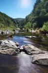 Le croisement des sources de la Loire