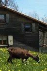 Ferme de Montmoulard - Gîte La Source