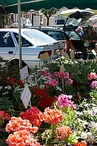 Marché de Saint Félicien