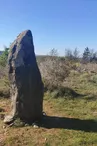 Dolmens et menhirs