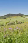 Le volcan du Cherchemuse