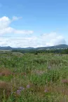 Les sucs volcaniques  : volcans péléens